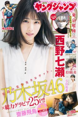 海天雄鹰40集免费正片